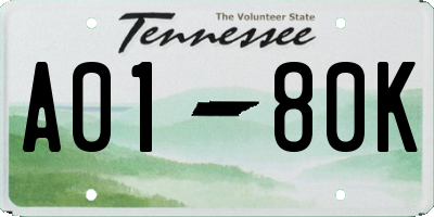 TN license plate A0180K