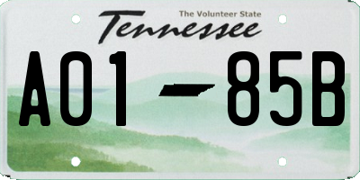 TN license plate A0185B