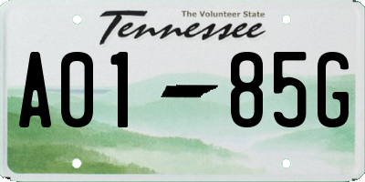 TN license plate A0185G