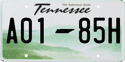 TN license plate A0185H