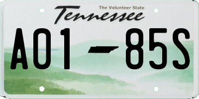 TN license plate A0185S