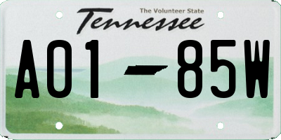 TN license plate A0185W