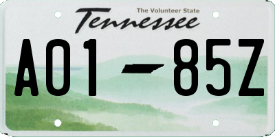 TN license plate A0185Z