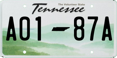 TN license plate A0187A