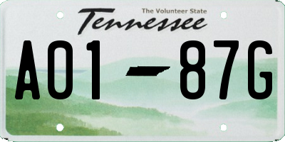 TN license plate A0187G