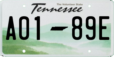 TN license plate A0189E