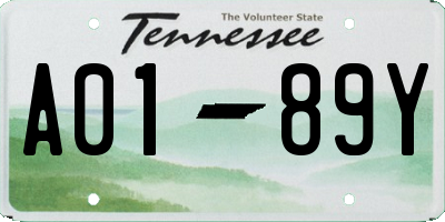 TN license plate A0189Y