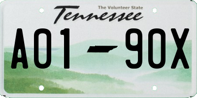 TN license plate A0190X