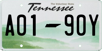 TN license plate A0190Y