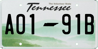 TN license plate A0191B