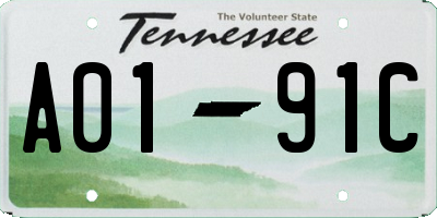 TN license plate A0191C