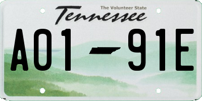 TN license plate A0191E