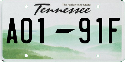 TN license plate A0191F