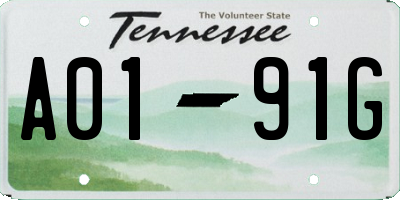 TN license plate A0191G