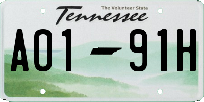 TN license plate A0191H