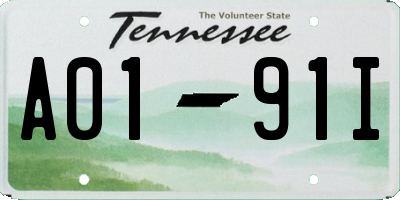 TN license plate A0191I