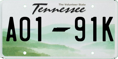 TN license plate A0191K