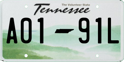 TN license plate A0191L