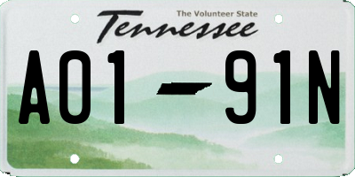 TN license plate A0191N