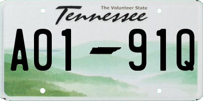 TN license plate A0191Q