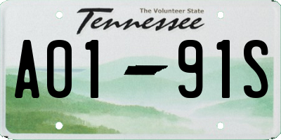 TN license plate A0191S