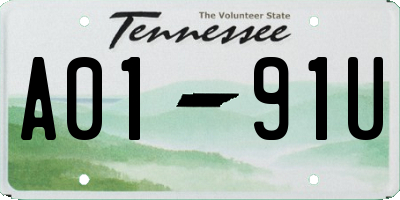 TN license plate A0191U