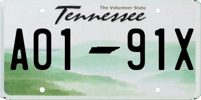 TN license plate A0191X