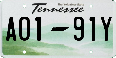 TN license plate A0191Y