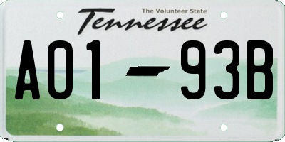 TN license plate A0193B