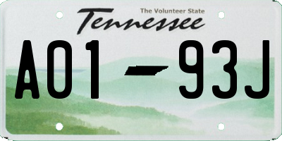 TN license plate A0193J