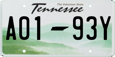 TN license plate A0193Y