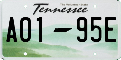 TN license plate A0195E