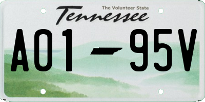 TN license plate A0195V