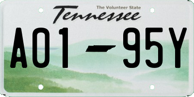 TN license plate A0195Y