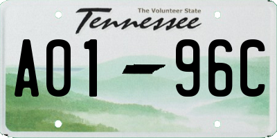 TN license plate A0196C