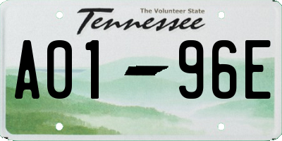 TN license plate A0196E