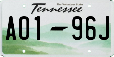 TN license plate A0196J