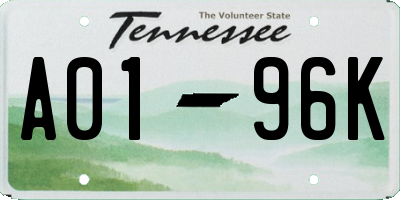 TN license plate A0196K