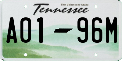 TN license plate A0196M