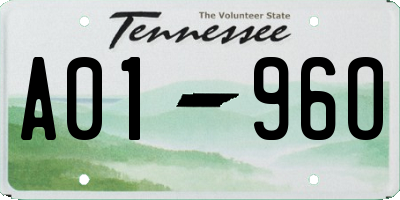 TN license plate A0196O