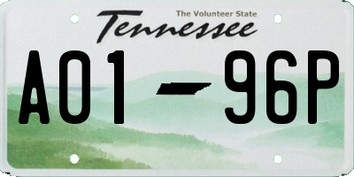 TN license plate A0196P