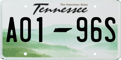 TN license plate A0196S