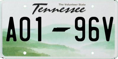 TN license plate A0196V