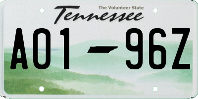 TN license plate A0196Z