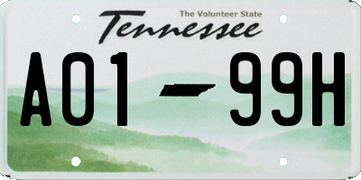 TN license plate A0199H