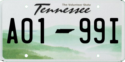 TN license plate A0199I