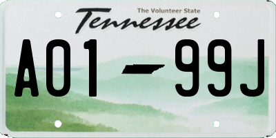 TN license plate A0199J
