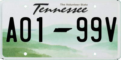 TN license plate A0199V