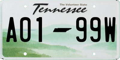 TN license plate A0199W