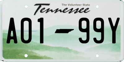 TN license plate A0199Y